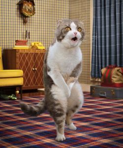 ����� �����